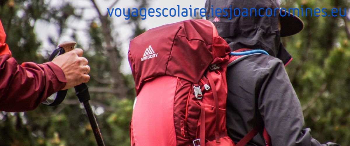voyagescolaire.iesjoancoromines.eu